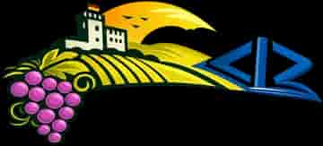 Pfalz Development